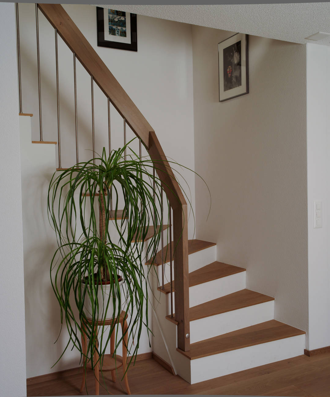 Edelstahlsprossen unten direkt auf Stufen befestigt und oben in Massivholzhandlauf gesteckt.